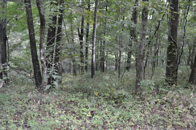 0 Pond Drive, Gallatin, TN 37066