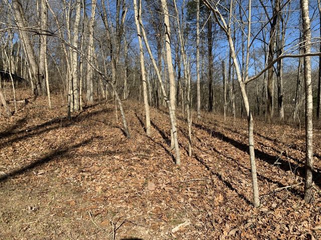 0 Pond Drive, Gallatin, TN 37066