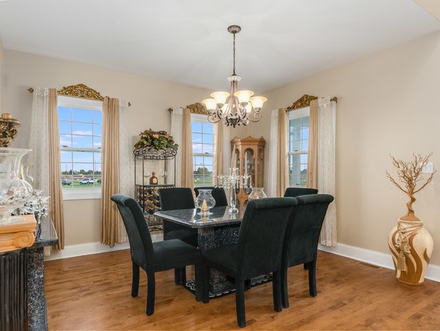 101 Bell Court, Oswego, IL 60543