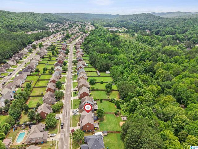 458 FOREST LAKES DRIVE, Sterrett, AL 35147