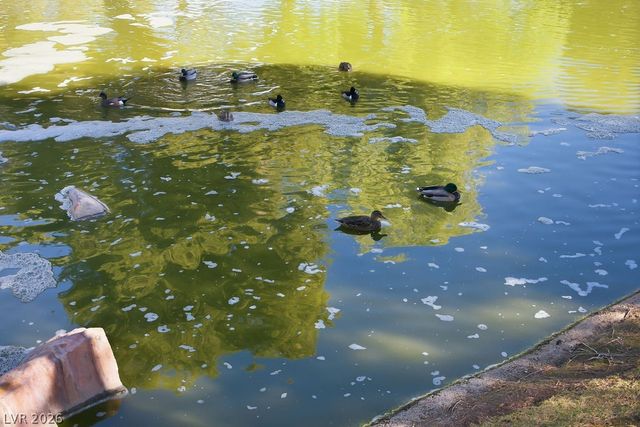 9513 Lazy River Drive, Las Vegas, NV 89117