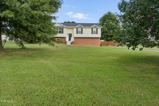 1111 Sycamore Creek Drive, Jonesborough, TN 37659