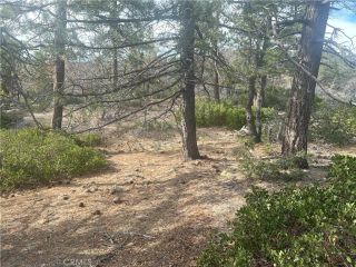 0 Hardy, Arrowbear, CA 92382