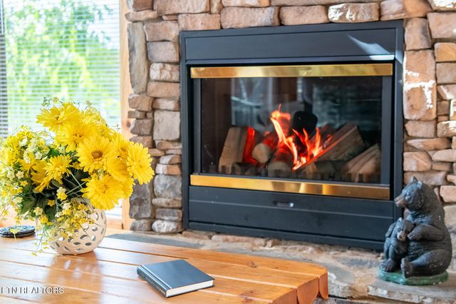 907 Black Bear Cub Way, Sevierville, TN 37862