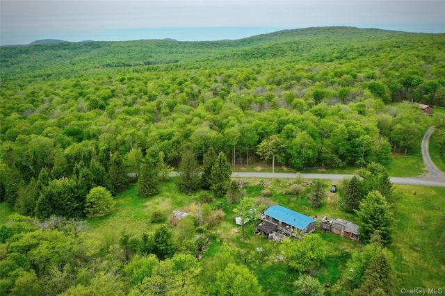 138 Old Hunter Road, Livingston Manor, NY 12758