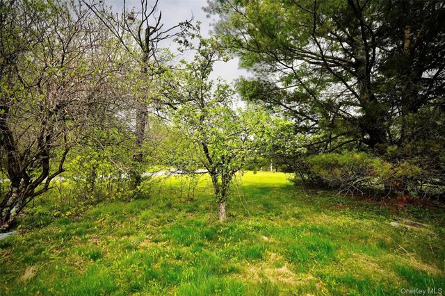 138 Old Hunter Road, Livingston Manor, NY 12758