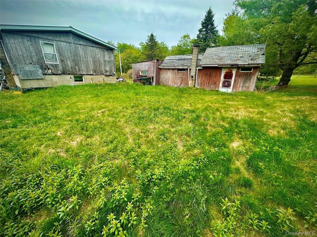 138 Old Hunter Road, Livingston Manor, NY 12758