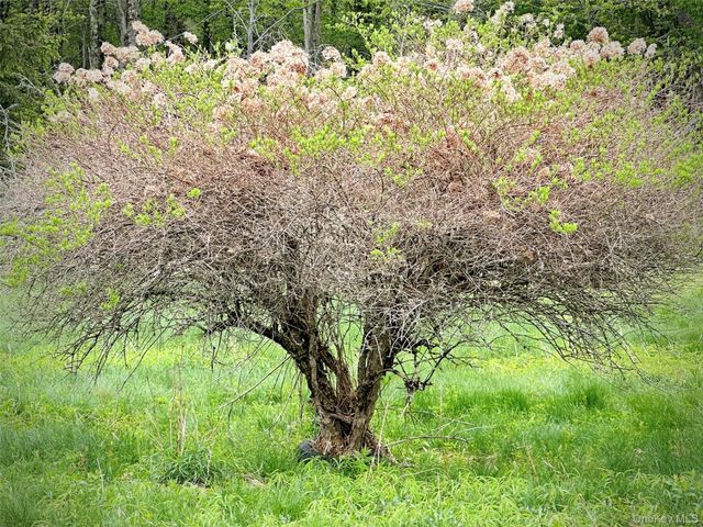 138 Old Hunter Road, Livingston Manor, NY 12758