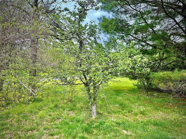 138 Old Hunter Road, Livingston Manor, NY 12758
