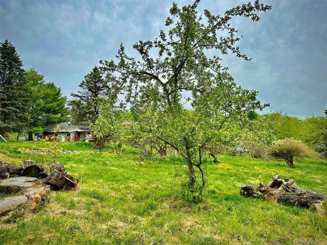 138 Old Hunter Road, Livingston Manor, NY 12758
