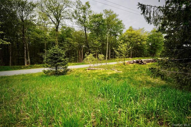 138 Old Hunter Road, Livingston Manor, NY 12758