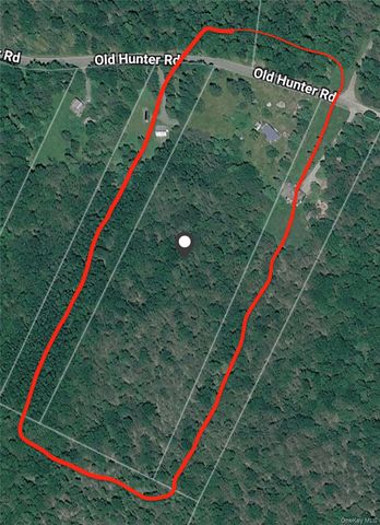 138 Old Hunter Road, Livingston Manor, NY 12758