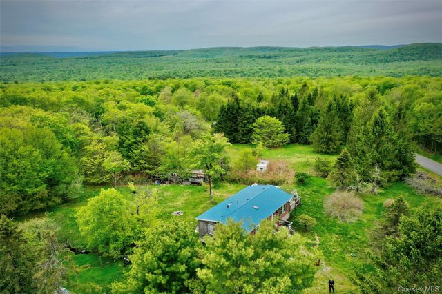 138 Old Hunter Road, Livingston Manor, NY 12758