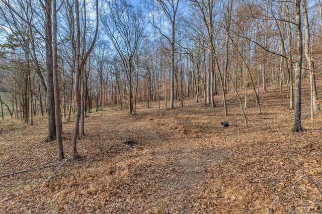 3125 Blazer Rd, Franklin, TN 37064