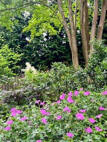 5 North Ter, Maplewood Twp., NJ 07040