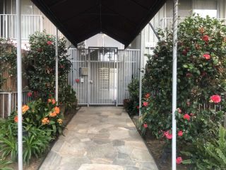 1645 Emerald 2i, San Diego, CA 92109
