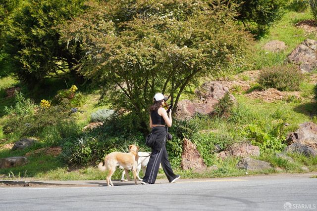 384 Rolph Street, San Francisco, CA 94112