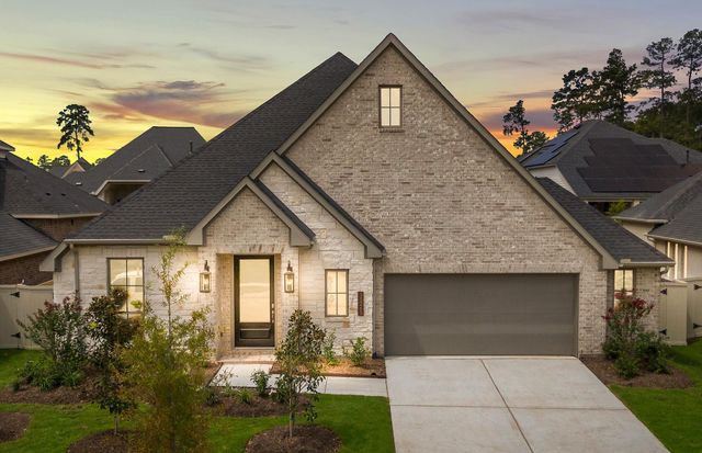 15265 Tree Swallow Court, Magnolia, TX 77354