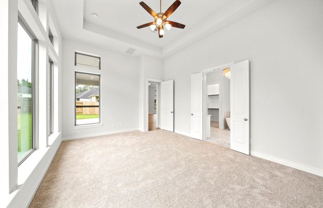 15265 Tree Swallow Court, Magnolia, TX 77354