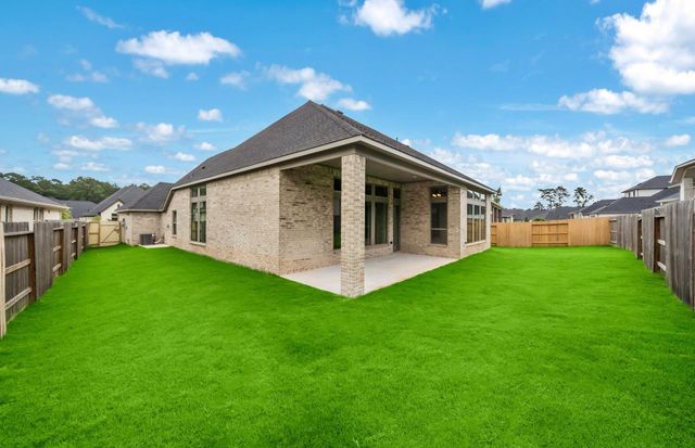 15265 Tree Swallow Court, Magnolia, TX 77354