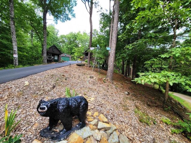 170 Fern Ridge Trail, Murphy, NC 28906