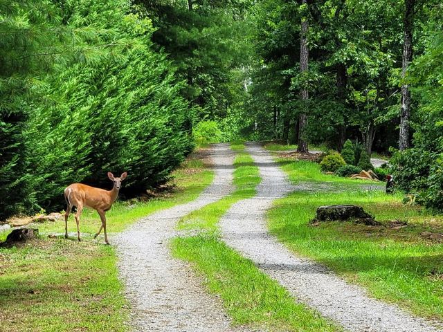 170 Fern Ridge Trail, Murphy, NC 28906