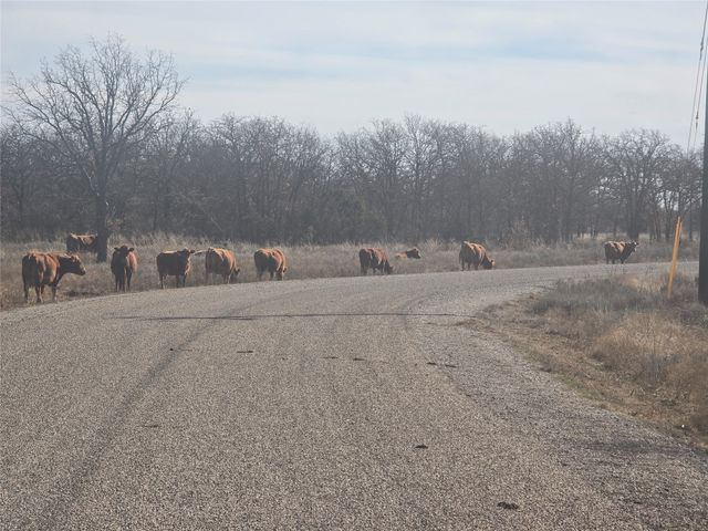 30 Oasis Ct Court, Perrin, TX 76449