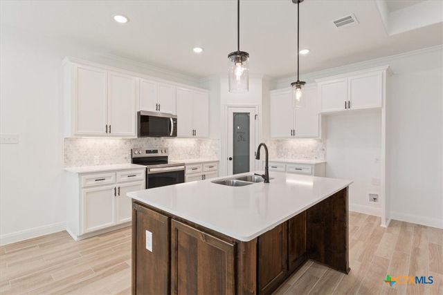 2221 Bigtooth Maple Road, Temple, TX 76502