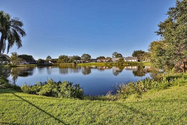 7920 GEORGE WASHINGTON LANE, Tampa, FL 33637