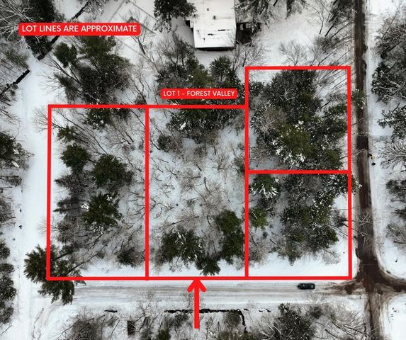 Lot 1 FOREST VALLEY ROAD, Wausau, WI 54403