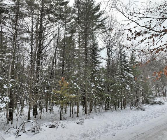 Lot 1 FOREST VALLEY ROAD, Wausau, WI 54403