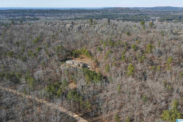 1775 RIDGEVIEW LAKE ROAD, Alabaster, AL 35007