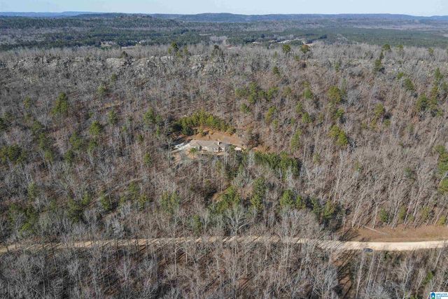 1775 RIDGEVIEW LAKE ROAD, Alabaster, AL 35007