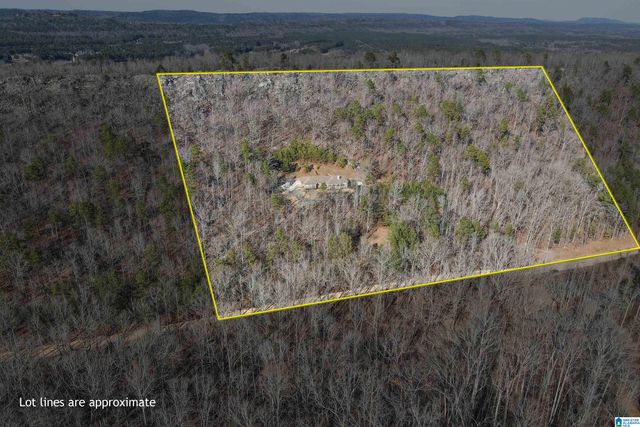 1775 RIDGEVIEW LAKE ROAD, Alabaster, AL 35007