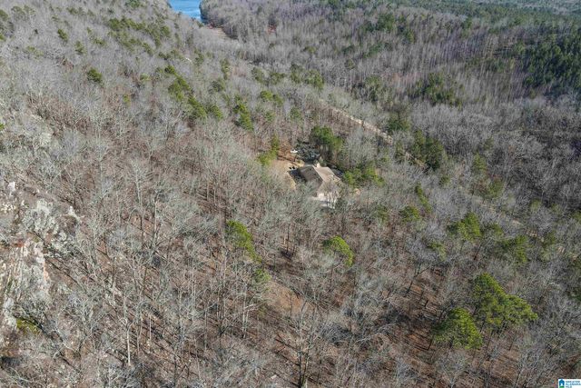 1775 RIDGEVIEW LAKE ROAD, Alabaster, AL 35007