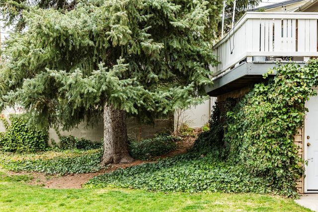 4160 S 2700 E, Holladay, UT 84124