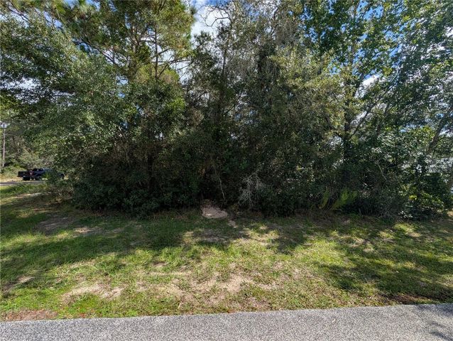 8479 N BROOK WAY, Citrus Springs, FL 34433