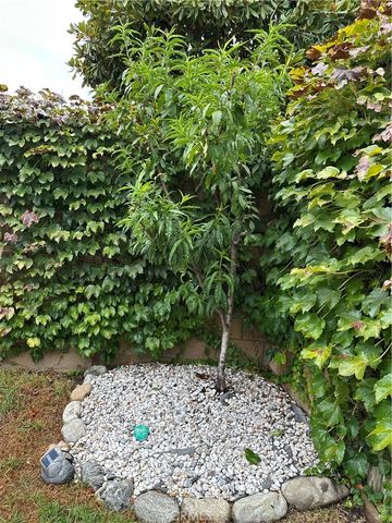 11740 Brandywine Place, Rancho Cucamonga, CA 91730