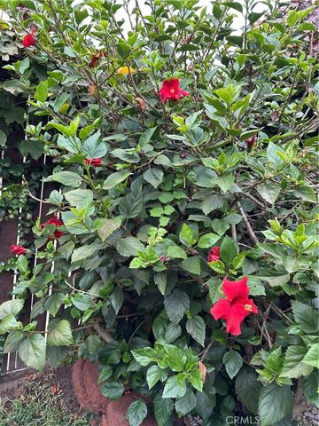 11740 Brandywine Place, Rancho Cucamonga, CA 91730