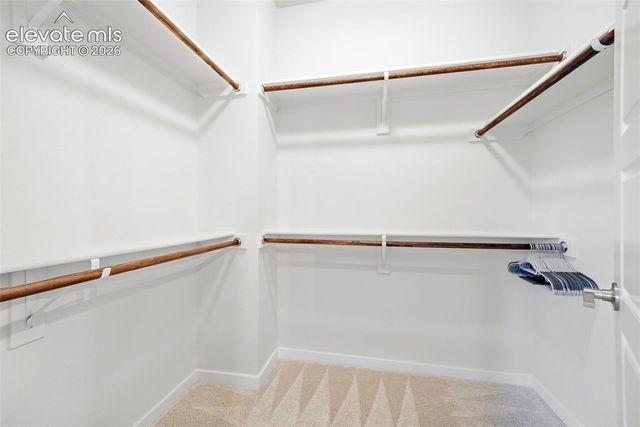 11314 Modern Meadow Loop, Colorado Springs, CO 80921