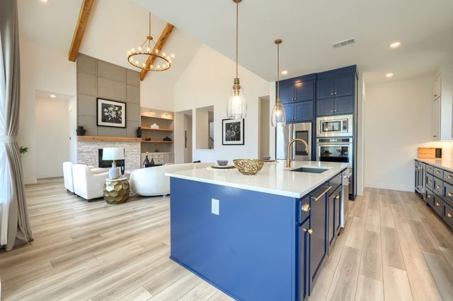 3665 Spruce Hills Street, Frisco, TX 75033