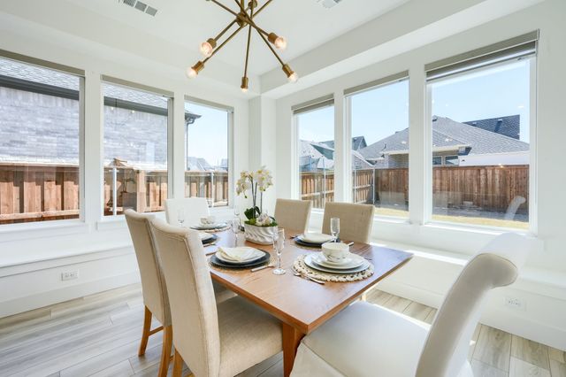 3665 Spruce Hills Street, Frisco, TX 75033