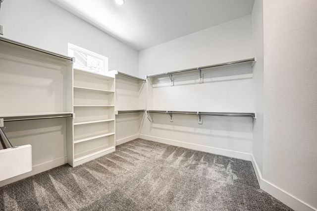 3665 Spruce Hills Street, Frisco, TX 75033