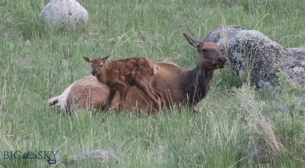 1005 Scott Street W, Gardiner, MT 59030 photo 57