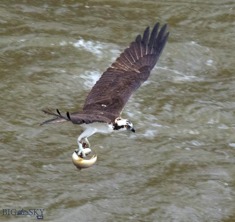 1005 Scott Street W, Gardiner, MT 59030 photo 58