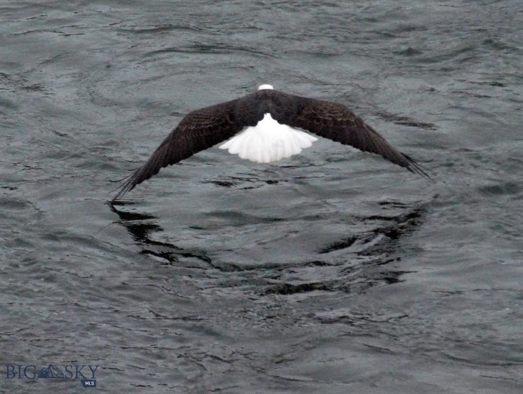 1005 Scott Street W, Gardiner, MT 59030 photo 59