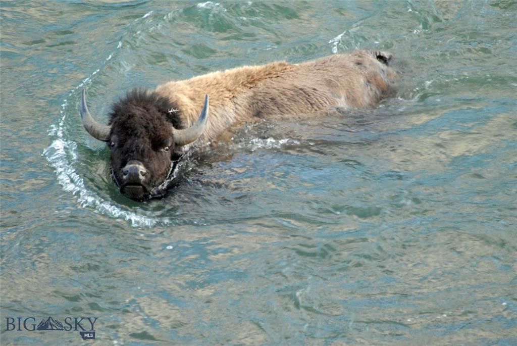 1005 Scott Street W, Gardiner, MT 59030 photo 60