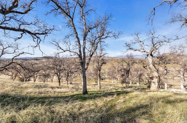 Fiddlers Road, Igo, CA 96047