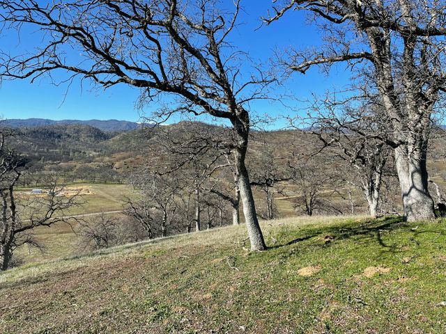 Fiddlers Road, Igo, CA 96047