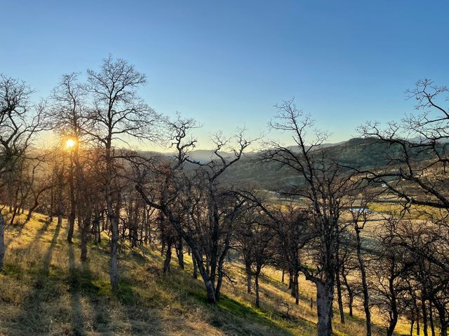 Fiddlers Road, Igo, CA 96047